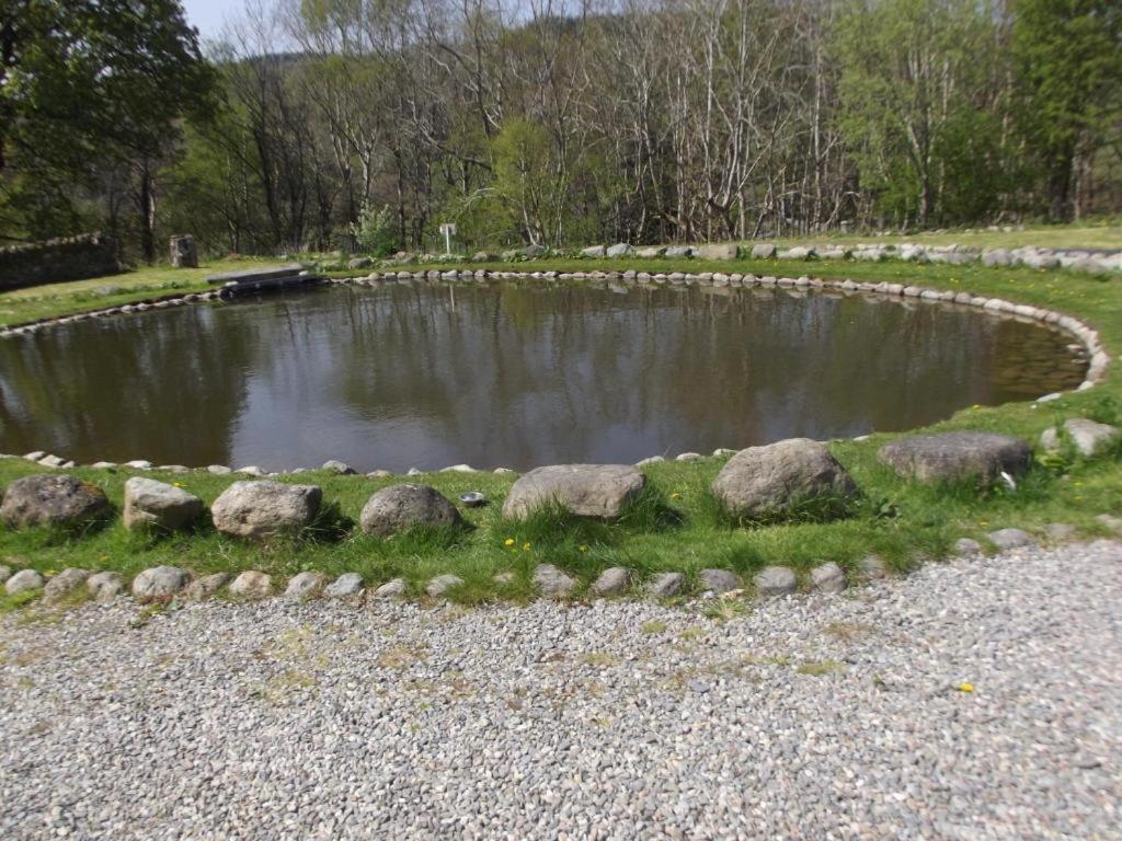 Cosy Ground Floor Disabled Friendly Room In Farm House Llandderfel Bagian luar foto