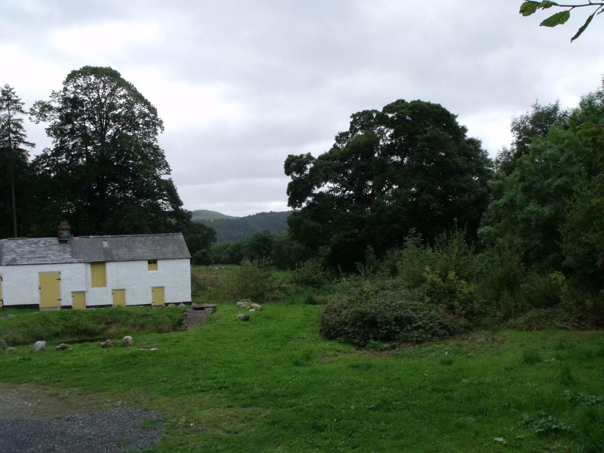 Cosy Ground Floor Disabled Friendly Room In Farm House Llandderfel Bagian luar foto