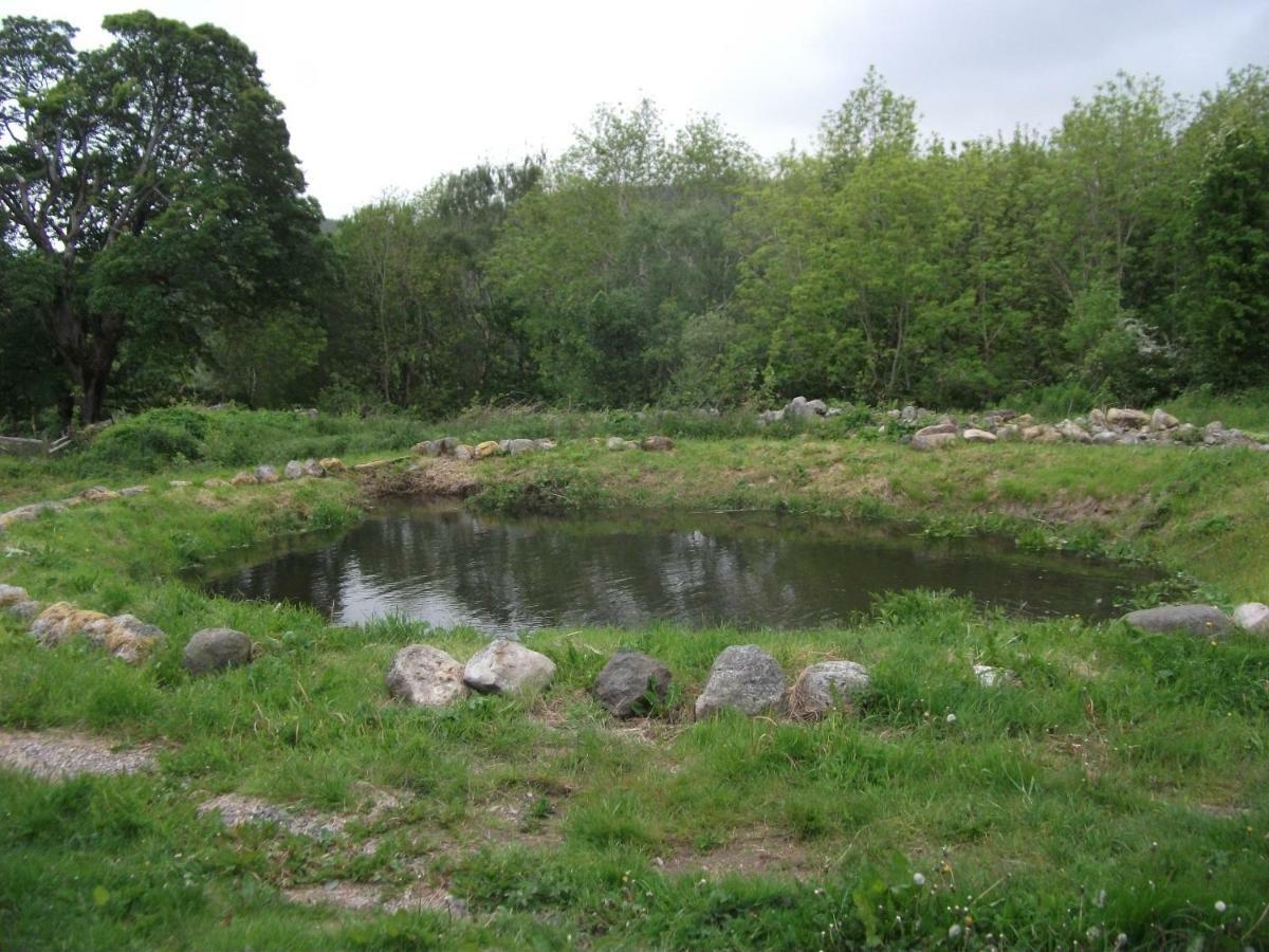 Cosy Ground Floor Disabled Friendly Room In Farm House Llandderfel Bagian luar foto